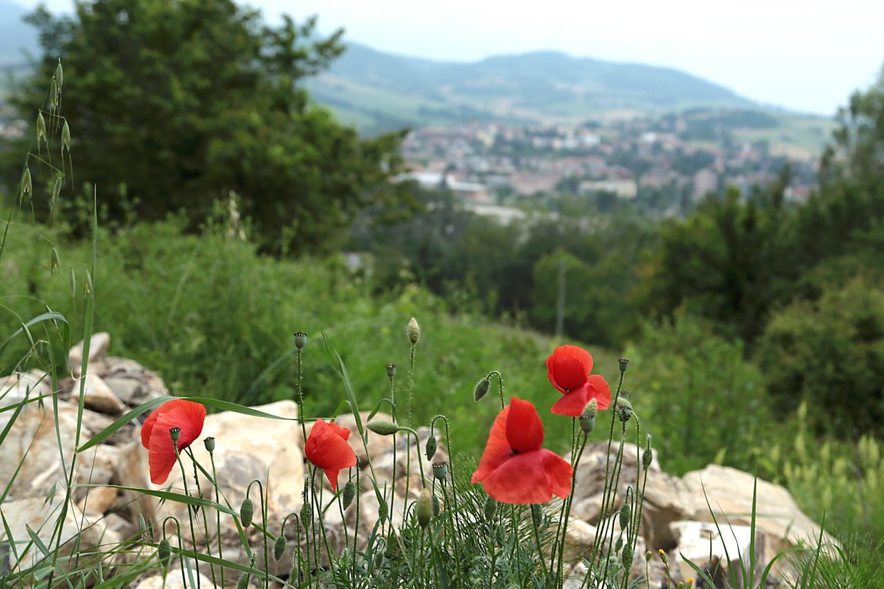 La Maesta' Bed & Breakfast Langhirano Bagian luar foto